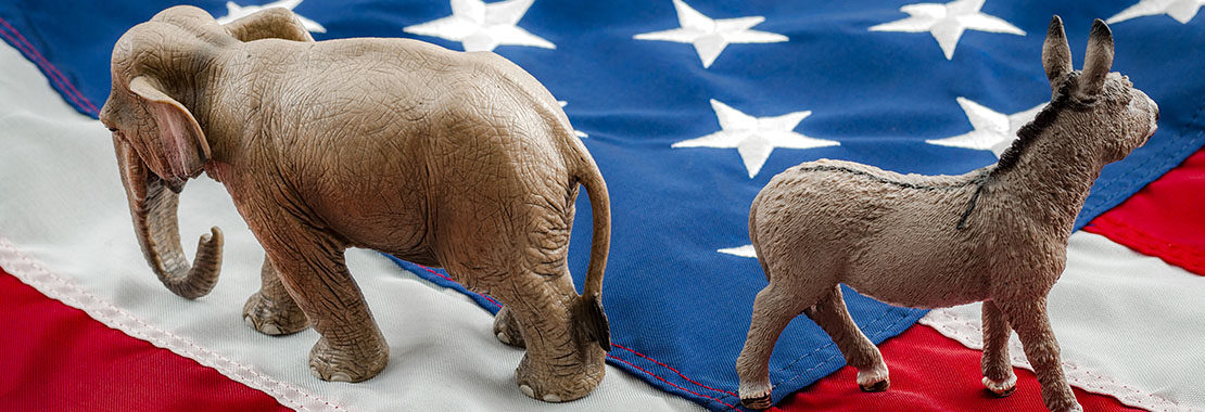 Image of Elephant and donkey on the US flag
