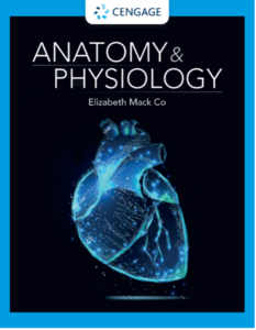 Anatomy & Physiology Textbook Cover Art