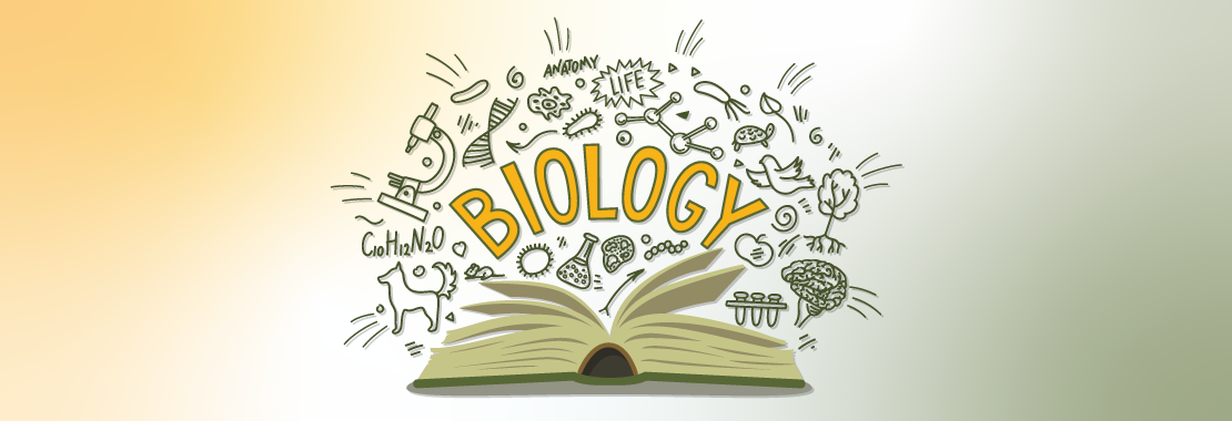 Course Organization is Key to a Successful Online Course for This Biology Instructor and Her Students