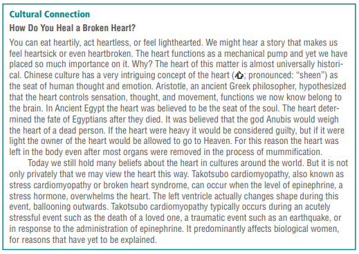 Anatomy & Physiology Cultural Connections Sample How Do You Heal a Broken Heart?