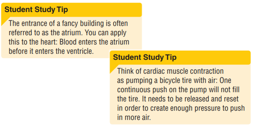 Sample of two student study tips