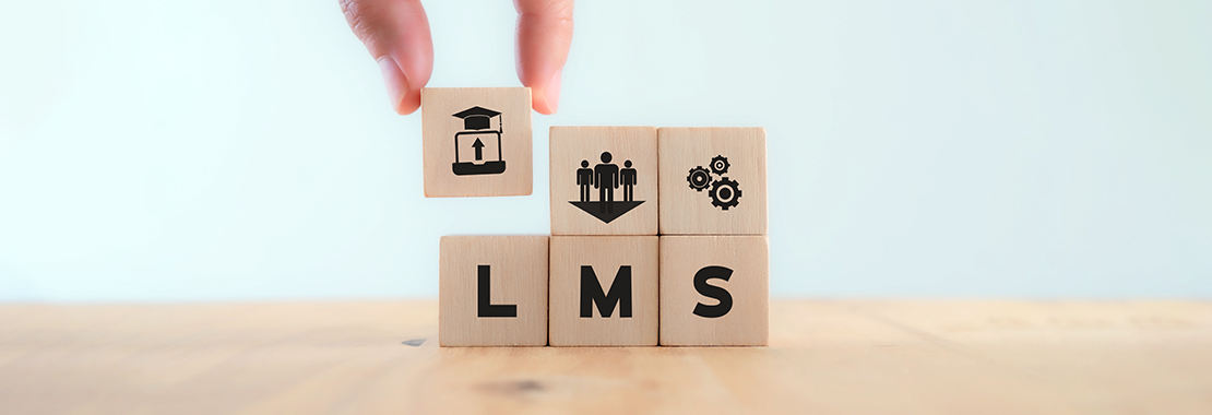 Wooden blocks labeled "LMS"