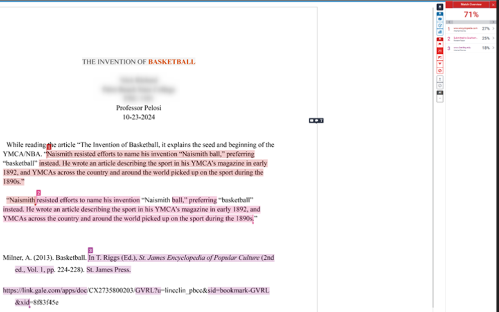 Turnitin shows the match overview with all of the plagiarism flagged, which can also be AI. Each part can be clicked on and expanded to show the original source.