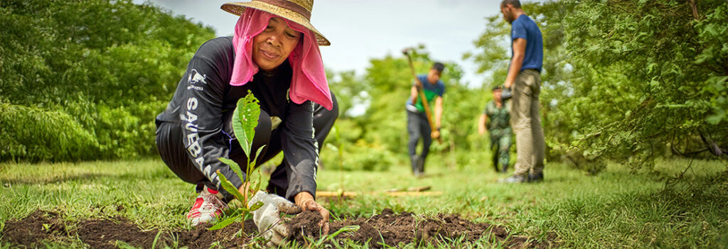 A person gardening.