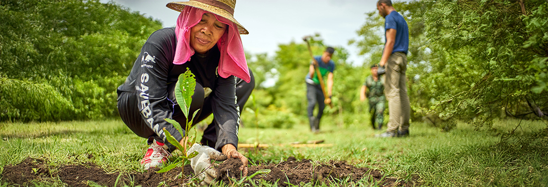 A person gardening.